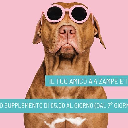 Hotel B&B Nizza Riccione Zewnętrze zdjęcie