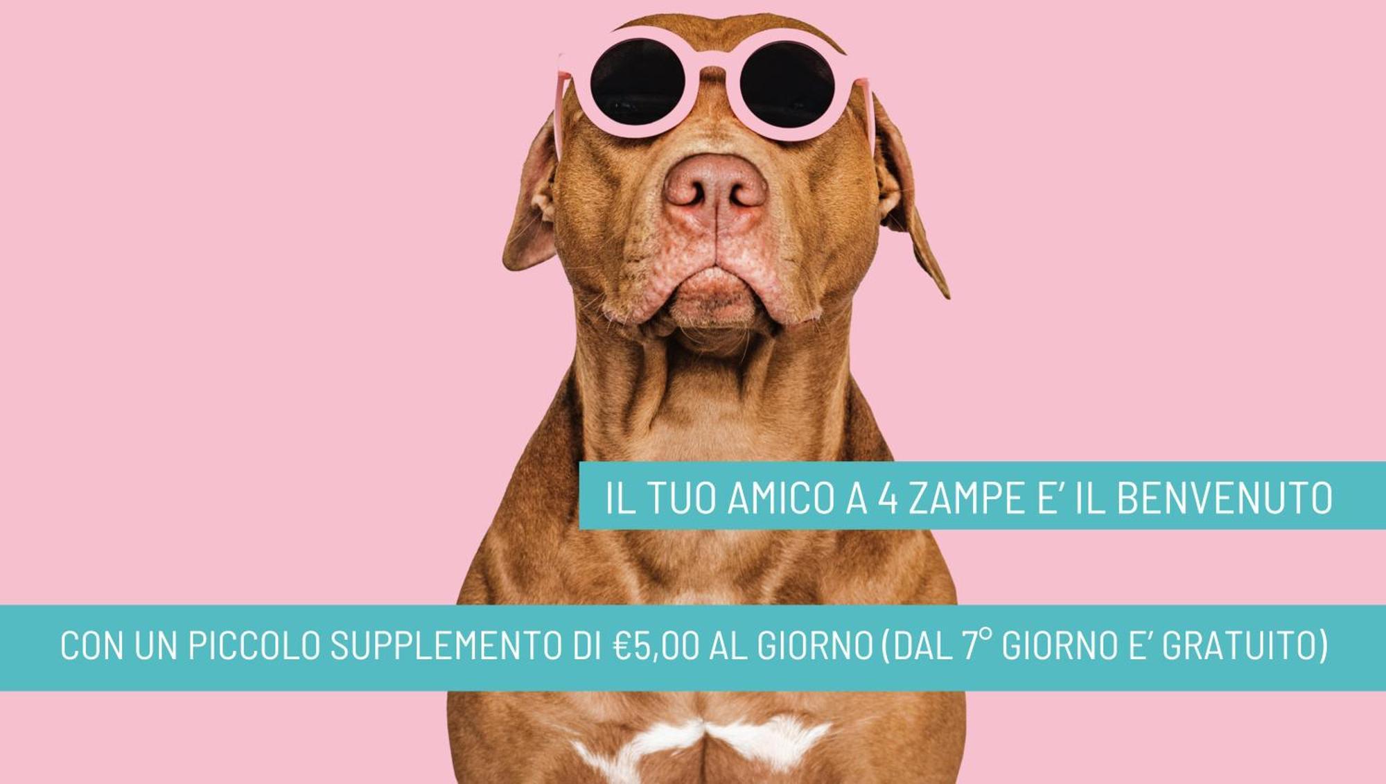Hotel B&B Nizza Riccione Zewnętrze zdjęcie